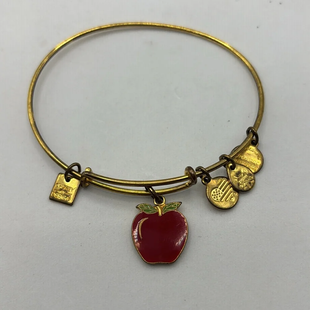 Alex and Ani charm bangle bracelets stretch 5 different colors and wear
